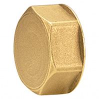 Пробка для коллектора Giacomini 1", R594Y004 Пробка для коллектора Giacomini 1", R594Y004